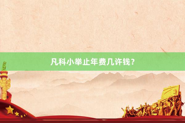 凡科小举止年费几许钱？