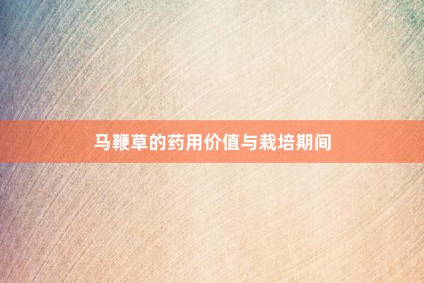 马鞭草的药用价值与栽培期间